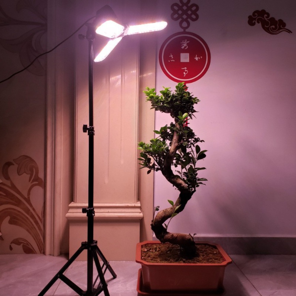Light Bulb Stand 2M, E27 AC So - Lighting In Photography Studio review and price