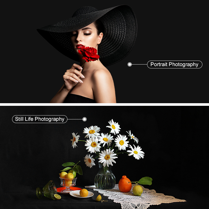 Photography Prop Solid Color L - Photography Still Life Lighting review and price