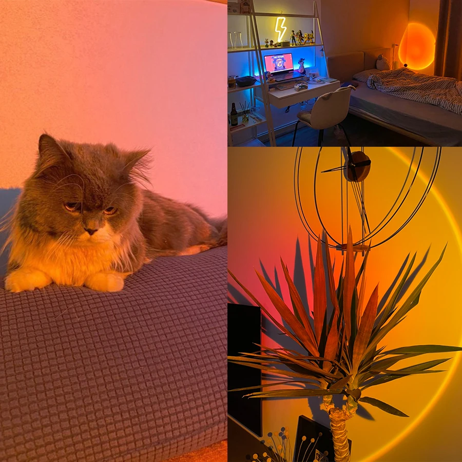 Sunset Lamp Night Light Multi  - Photography Lighting Mood review and price