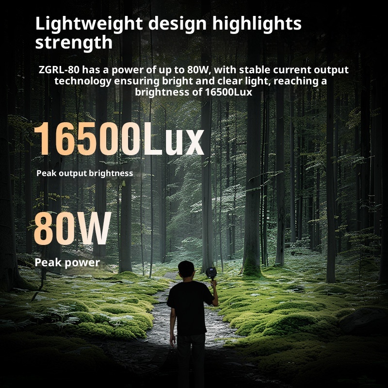 ZGRL80 80W COB LED Video Light - Photography Lighting System review and price