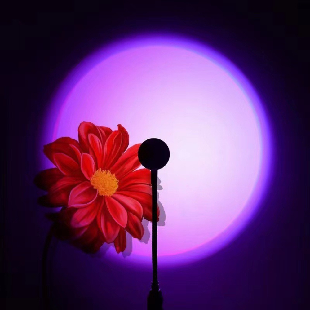 LED RGB Sunset Projection Lamp - Photography Lighting Mood review and price