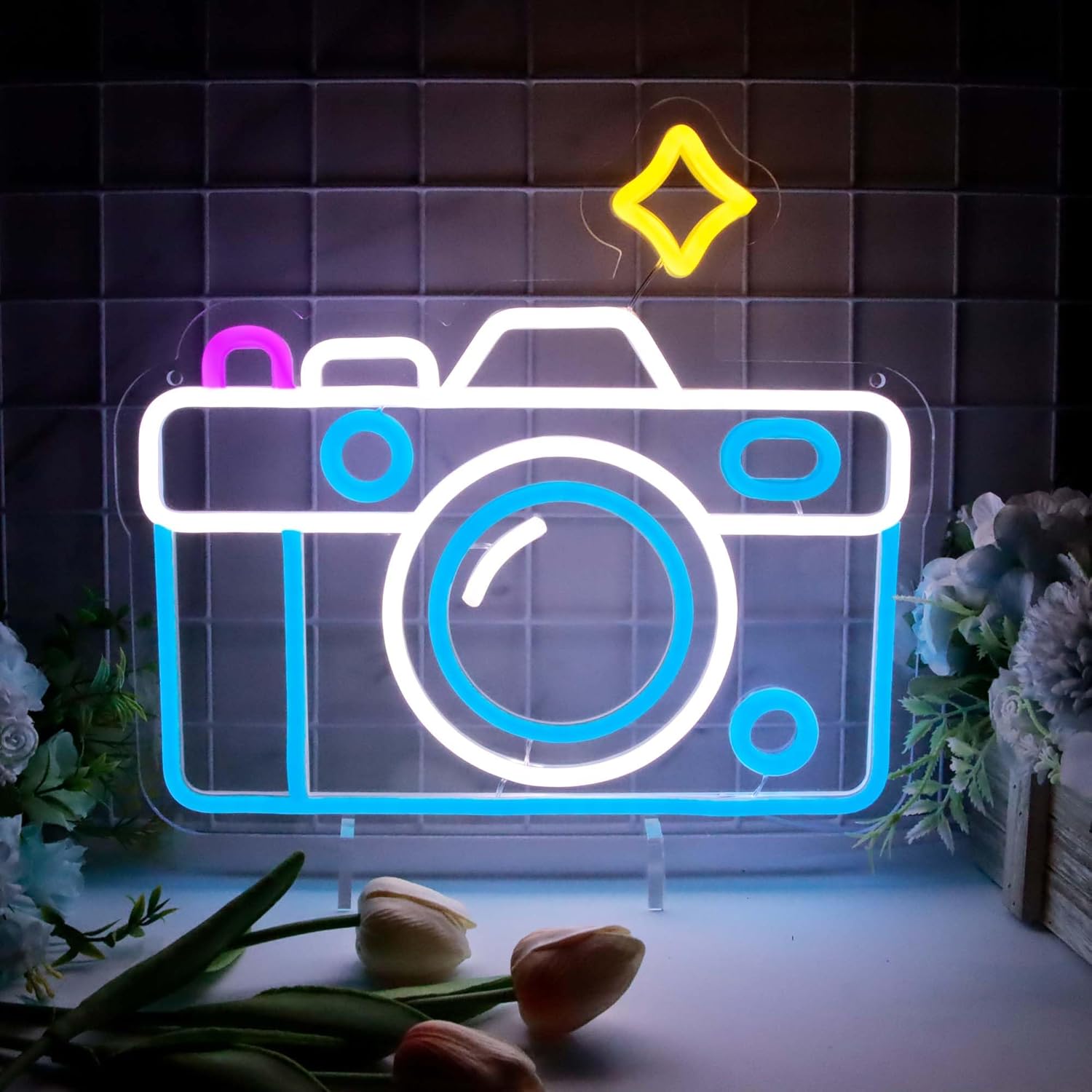 Neon Signs for Wall Decor, Pho - Photography Lighting Wall review and price