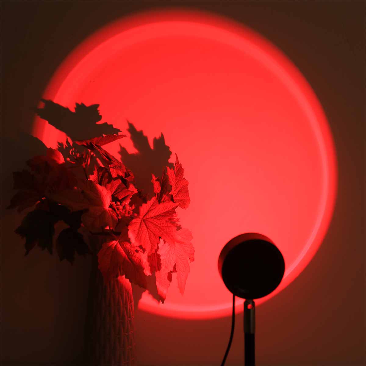 Sunset Projection Light Remote - Photography Lighting Wall review and price